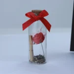 Wishing Cork Bottle