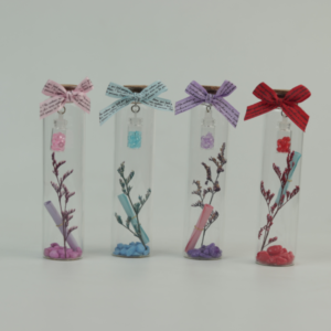 Wishing Cork Bottle Valentine Special